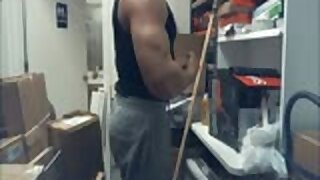 Stevo 6