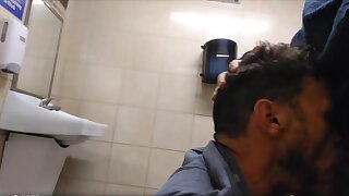Chubby Bear in public restroom