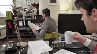 Diary of a Fox - Tuesday