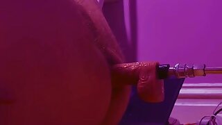 Furry otter boy uses fuck machine on all fours and pounds his hole